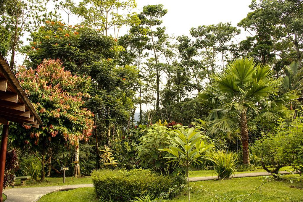 Catarata Eco Lodge La Fortuna Eksteriør billede