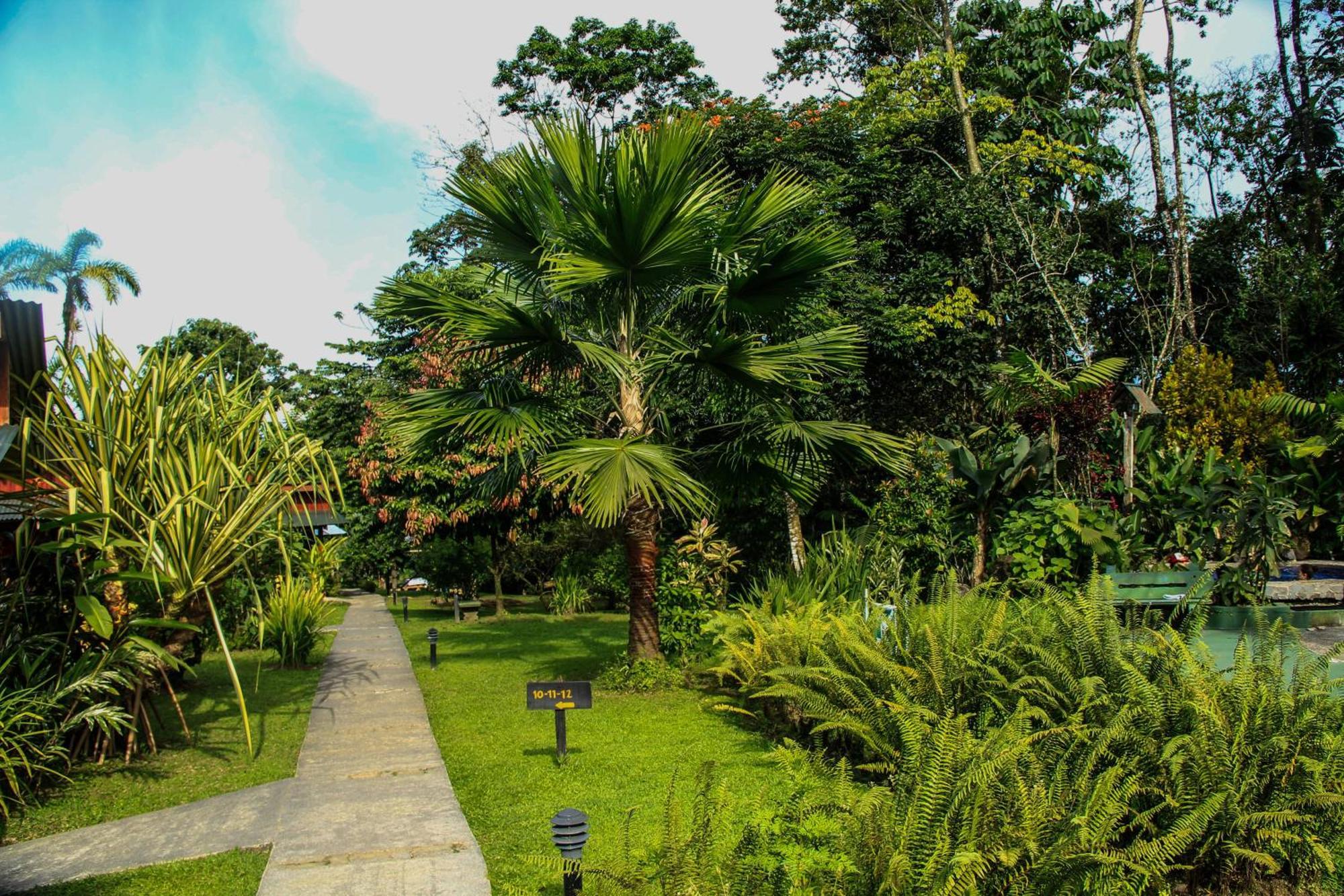 Catarata Eco Lodge La Fortuna Værelse billede