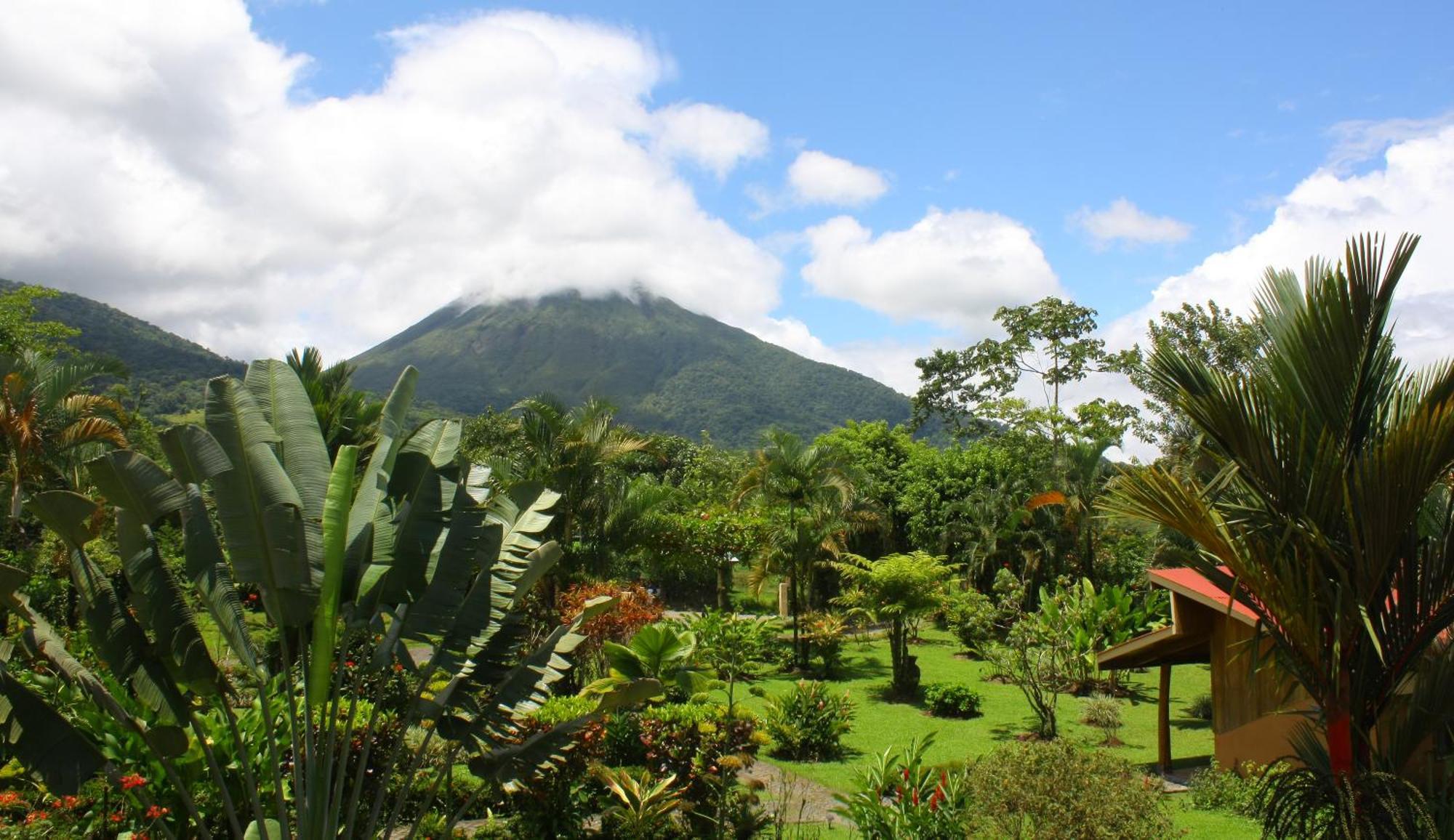 Catarata Eco Lodge La Fortuna Eksteriør billede