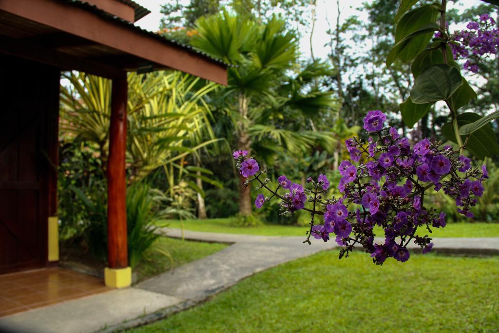 Catarata Eco Lodge La Fortuna Eksteriør billede