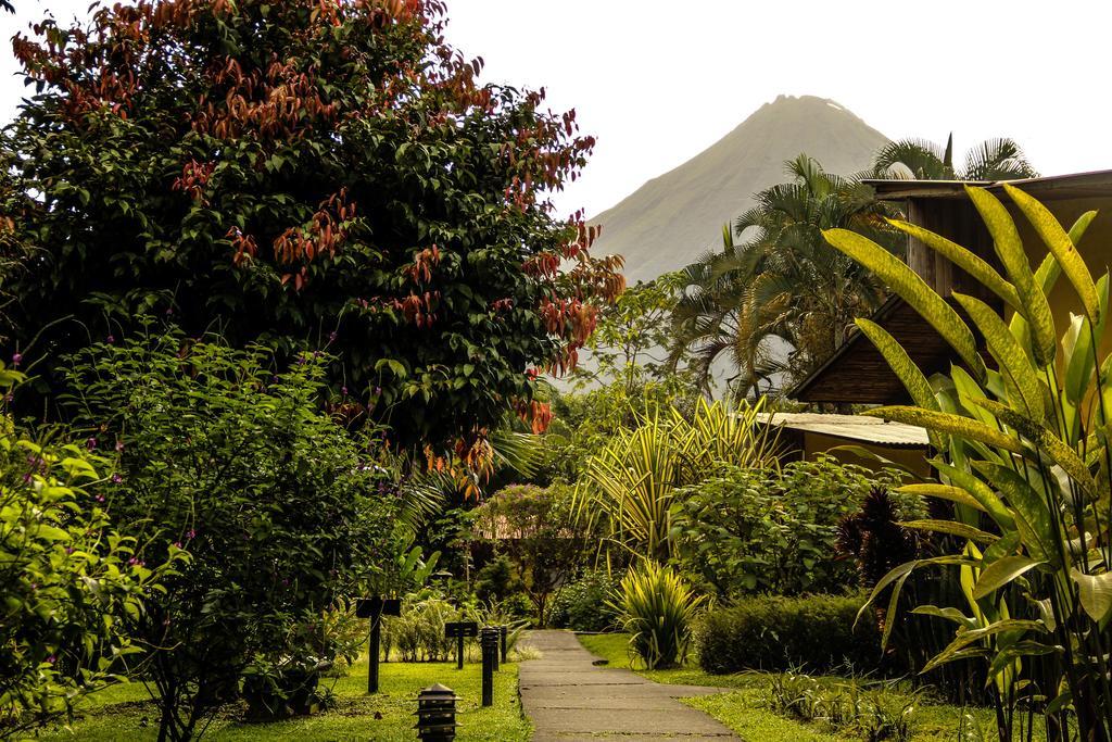 Catarata Eco Lodge La Fortuna Eksteriør billede