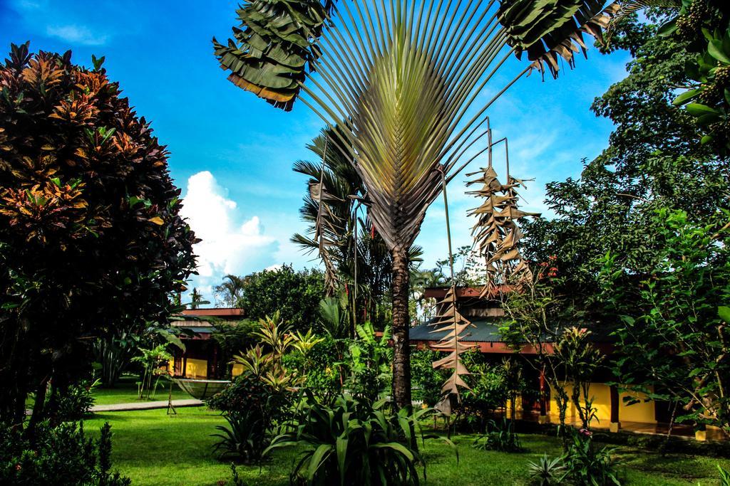 Catarata Eco Lodge La Fortuna Eksteriør billede